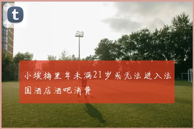 小埃梅里年未满21岁或无法进入法国酒店酒吧消费