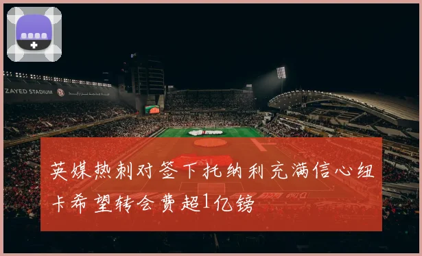 英媒热刺对签下托纳利充满信心纽卡希望转会费超1亿镑